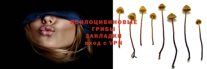 apvp Балахна