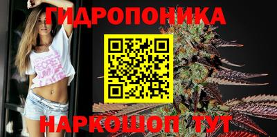 прущие крисы Малгобек