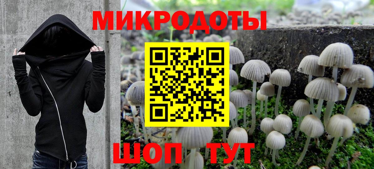 Псилоцибиновые грибы мицелий Ессентуки
