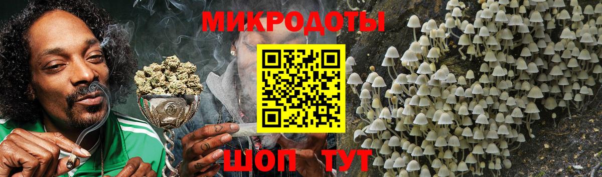 Ессентуки  наркотики  Псилоцибиновые грибы ЛСД  Вход с VPN  Псилоцибиновые грибы Cubensis 
